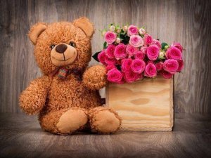 Plush Friends Picture Puzzle