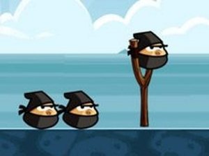 Ninja Catapult Arcade