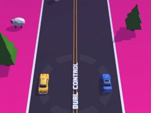 Dual Control Car Arcade Game