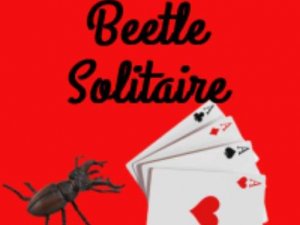 Beetle Solitaire Card Game