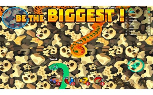 Angry Snake Arcade Game