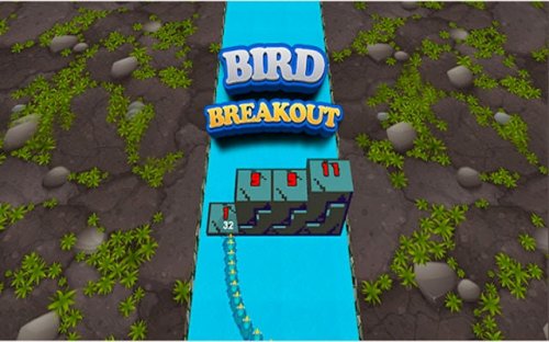 Bird Breakout: Block Breaker Arcade