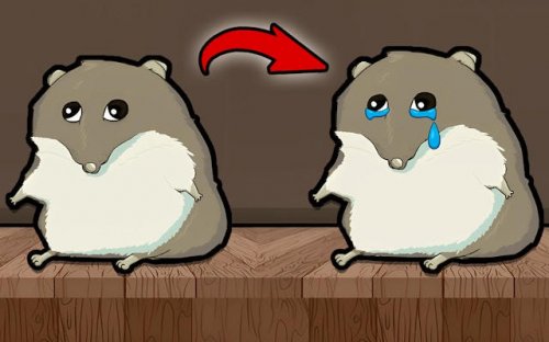 Evolution of Hamster: Clicker Game
