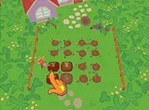 Calm Fields Farming